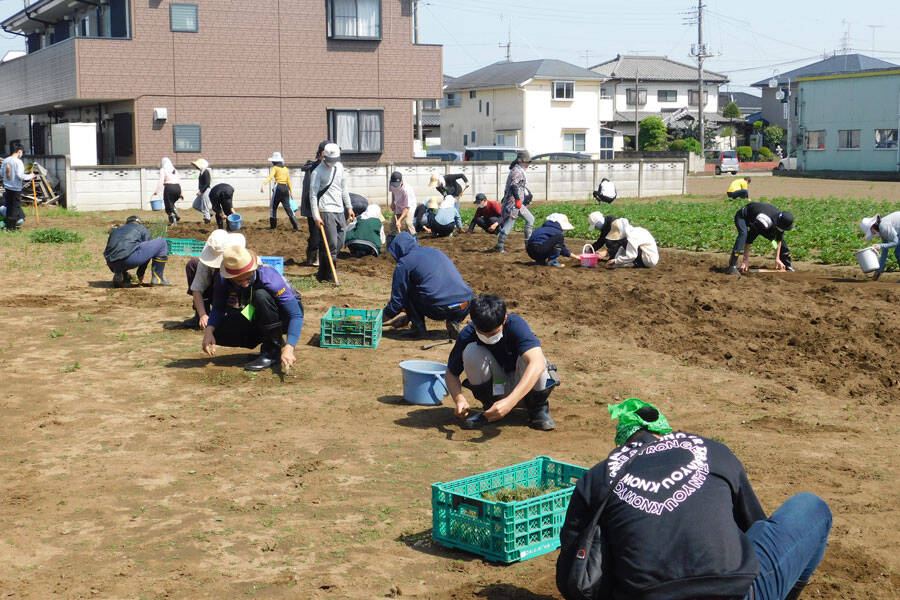 トークス・ファームの様子